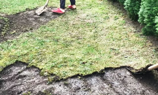 Снятие дерна старого газона в Губкине – от 525 руб. | 2Землекопа-Гбк